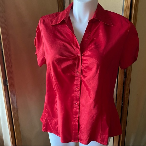 EUC 🌟🔥✨Cato Woman shiny festive blouse, 14/16W - Picture 3 of 12